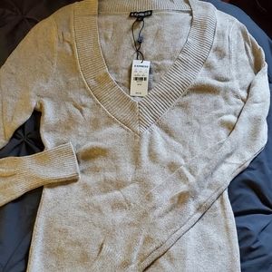 Express fitted v-neck sweater